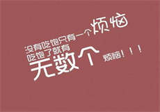 兔子先生社区
